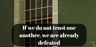 Top 10 true quotes about life