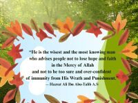 Dont lose hope quote