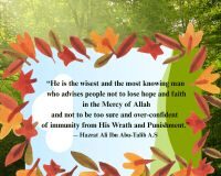 Dont lose hope quote